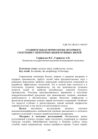 Сравнительная морфология легочного сплетения у некоторых видов пушных зверей