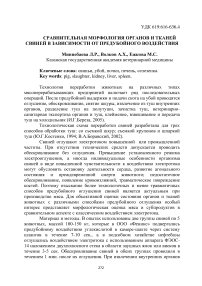 Сравнительная морфология органов и тканей свиней в зависимости от предубойного воздействия