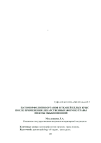 Патоморфология органов и тканей белых крыс после применения лекарственных форм из травы пижмы обыкновенной
