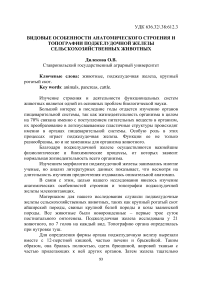 Видовые особенности анатомического строения и топографии поджелудочной железы сельскохозяйственных животных