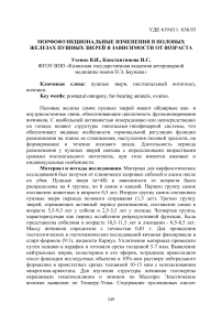 Морфофункциональные изменения в половых железах пушных зверей в зависимости от возраста