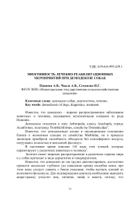 Эфективность лечебно-реабилитационных мероприятий при демодекозе собак