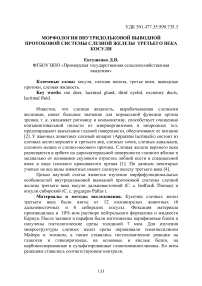 Морфология внутридольковой выводной протоковой системы слезной железы третьего века косули