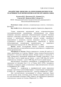 Воздействие диоксина на иммунобиологическую реактивность и морфологию клеток организма овец