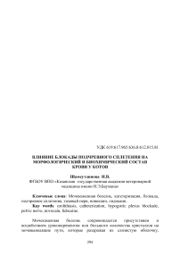 Влияние блокады подчревного сплетения на морфологический и биохимический состав крови у котов