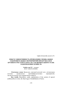 Опыт и эффективность проведения специальных оздоровительных мероприятий при бруцеллезе крупного рогатого скота на заключительном этапе оздоровления хозяйств