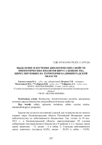Выделение и изучение биологических свойств эпизоотических изолятов вируса бешенства, циркулирующих на территории Калининградской области
