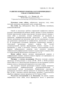 Развитие кожного покрова и его производных у собак в эмбриогенезе