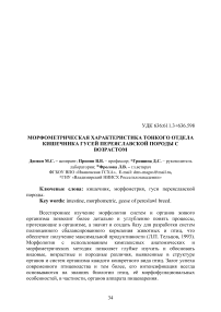 Морфометрическая характеристика тонкого отдела кишечника гусей переяславской породы с возрастом