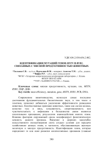 Идентификация мутаций генов MSTN и RYR 1, связанных с мясной продуктивностью животных