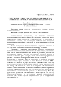 Содержание гликогена в эпителиальных клетках смешанных слюнных желез всеядных животных