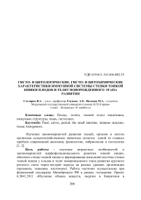 Гисто- и цитологические, гисто- и цитохимические характеристики иммунной системы стенки тонкой кишки плодов и телят новорожденного этапа развития