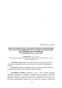 Микроскопическое строение промежуточной зоны желудка и насыщенность ее слизистой оболочки иммунными образованиями у кур в возрасте 1, 2 и 3 года