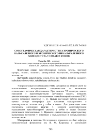 Сонографическая характеристика хронического калькулезного и хронического некалькулезного холецистита у собак и кошек