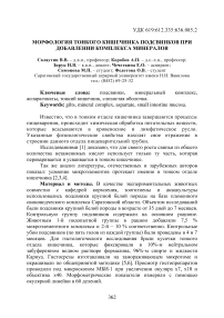 Морфология тонкого кишечника подсвинков при добавлении комплекса минералов