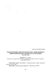 Геноидентификация изолятов ВЛКРС, выявленных в животноводческих хозяйствах Республики Татарстан
