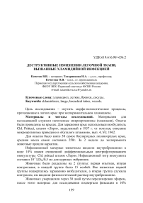 Деструктивные изменения легочной ткани, вызванные хламидийной инфекцией