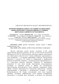 Морфофункциональное состояние регионарных лимфатических узлов кроликов в условиях интрамедуллярного остеосинтеза