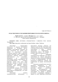 Роль грызунов в сохранении природных очагов лептоспироза