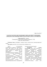 Патогистологические изменения в двенадцатиперстной кишке лошадей и обоснование вопросов патогенеза при гастерофилезе