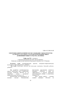 Электронно-микроскопическое исследование ультраструктуры Salmonella Pullorum-Gallinarum под воздействием дезинфицирующего средства «Натопен»