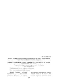 Морфологические особенности строения желудка 10- суточных эмбрионов бройлеров кросса «Ross-308»