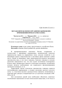 Метаболизм белков в организме бычков при применении препаратов селена