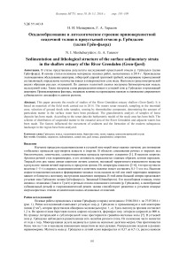 Осадкообразование и литологическое строение приповерхностной осадочной толщи в приустьевой отмели р. Грёндален (залив Грён-фьорд)