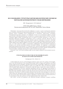 Исследование структуры рафтов биологических мембран методами компьютерного моделирования