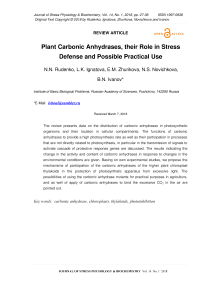 Углекислые растения растительного происхождения, их роль в защите от стресса и возможное практическое использование