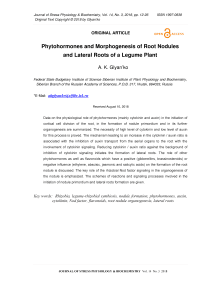 Phytohormones and morphogenesis of root nodules and lateral roots of a legume plant