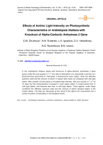 Влияние интенсивности актиничного света на фотосинтетические характеристики Arabidopsis thaliana с нокаутом гена альфа-карбоновой ангидразы 2