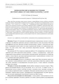 Морфологические особенности строения и внутриорганных сосудов сонного клубочка у детей