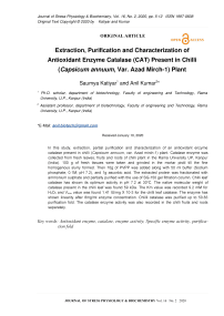Extraction, purification and characterization of antioxidant enzyme catalase (CAT) present in Chilli (Capsicum annuum, Var. Azad Mirch-1) plant