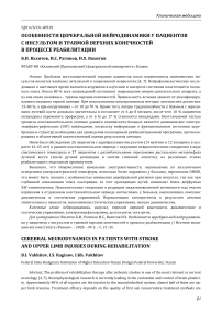 Особенности церебральной нейродинамики у пациентов с инсультом и травмой верхних конечностей в процессе реабилитации