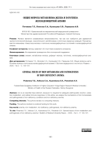 Общие вопросы метаболизма железа и патогенеза железодефицитной анемии