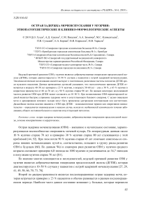 Острая задержка мочеиспускания у мужчин: этиопатогенетические и клинико-морфологические аспекты