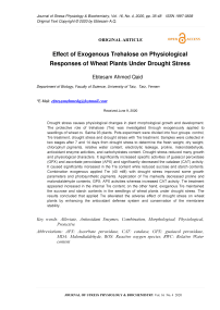 Effect of Exogenous Trehalose on Physiological Responses of Wheat Plants Under Drought Stress