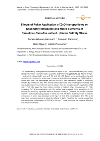 Effects of Foliar Application of ZnO Nanoparticles on Secondary Metabolite and Micro-elements of Camelina (Camelina sativa L.) Under Salinity Stress