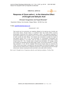 Response of Oryza sativa L. to the Interactive Effect of Drought and Salicylic Acid