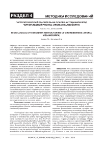 Гистологический краситель на основе антоцианов ягод черноплодной рябины (Aronia melanocarpa)