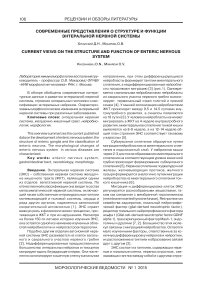Современные представления о структуре и функции энтеральной нервной системы