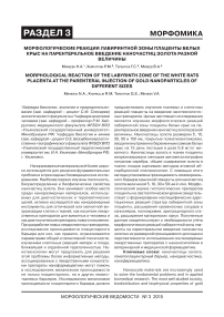 Морфологические реакции лабиринтной зоны плаценты белых крыс на парентеральное введение наночастиц золота разной величины