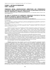 Применение метода флюоресуцентной лимфографии для прижизненного изучения анатомии поверхностных лимфатических сосудов нижних конечностей