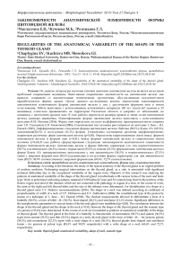 Закономерности анатомической изменчивости формы щитовидной железы