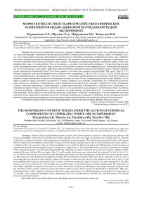 Морфология костной ткани при действии химических компонентов медно-цинковой колчеданной руды в эксперименте