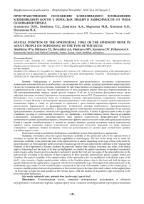 Пространственное положение клиновидного возвышения клиновидной кости у взрослых людей в зависимости от типа основания черепа