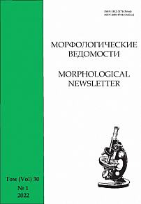 1 т.30, 2022 - Морфологические ведомости