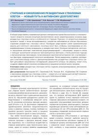 Старение и омоложение резидентных стволовых клеток - новый путь к активному долголетию?