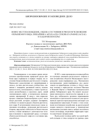 Новое местонахождение, оценка состояния и риски исчезновения охраняемого вида лишайника  Menegazzia terebrata  ( Parmeliaceae ) в Хабаровском крае